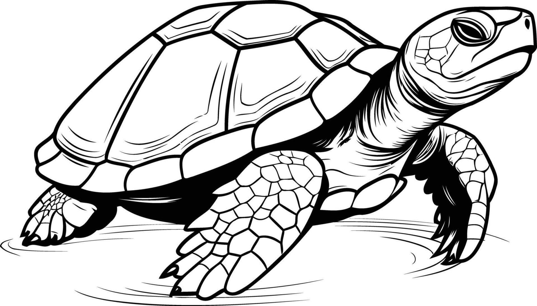 Detailed line drawing of a turtle swimming, perfect for nature, wildlife, and animal themed designs vector