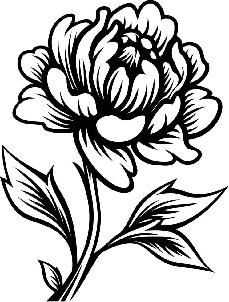 Black and white line art illustration of a single peony flower vector