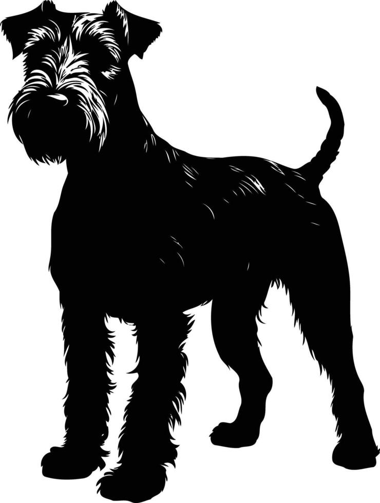 A striking silhouette of a miniature schnauzer, perfect for adding a touch of elegance to your designs vector