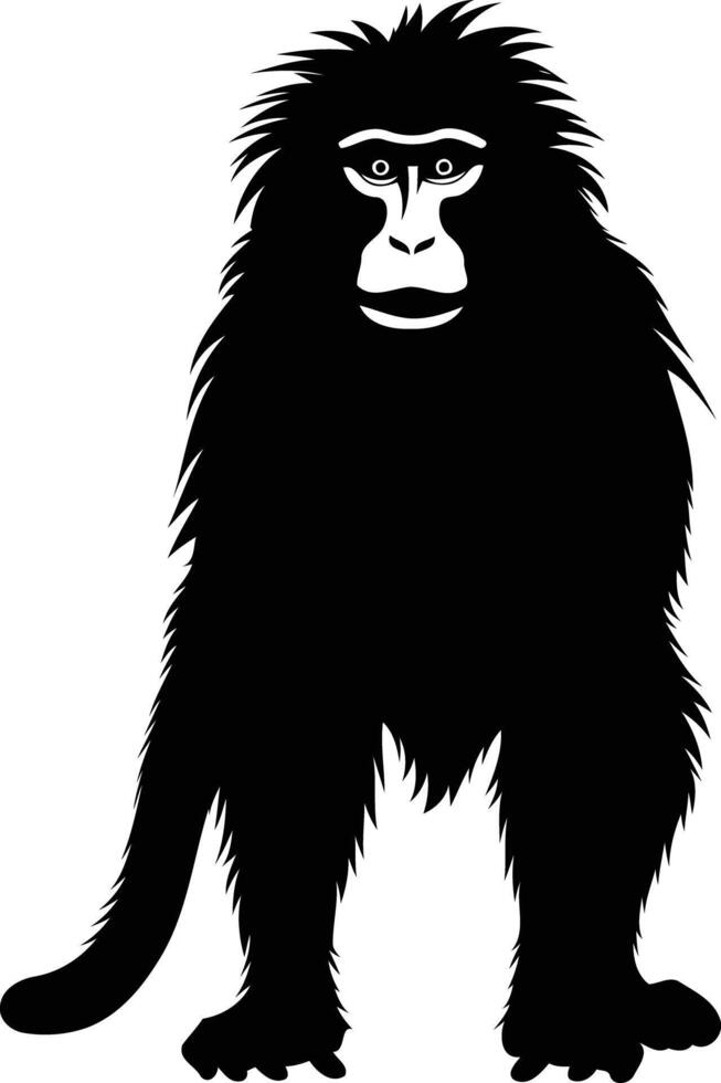 A stark, black silhouette of a monkey with a furry coat and expressive eyes, standing against a white background vector