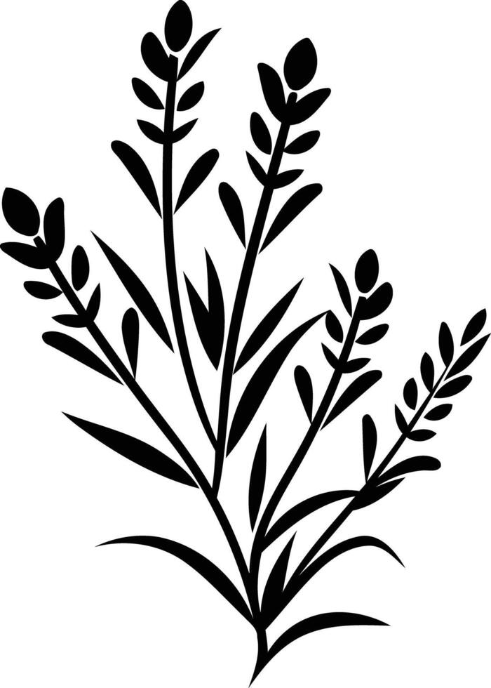 A simple silhouette of a sprig of blooming lavender, perfect for minimalist designs, tattoos, or as a botanical illustration vector