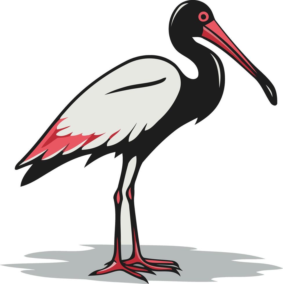 A detailed illustration of a white-faced ibis, a wading bird with distinctive black and white plumage vector