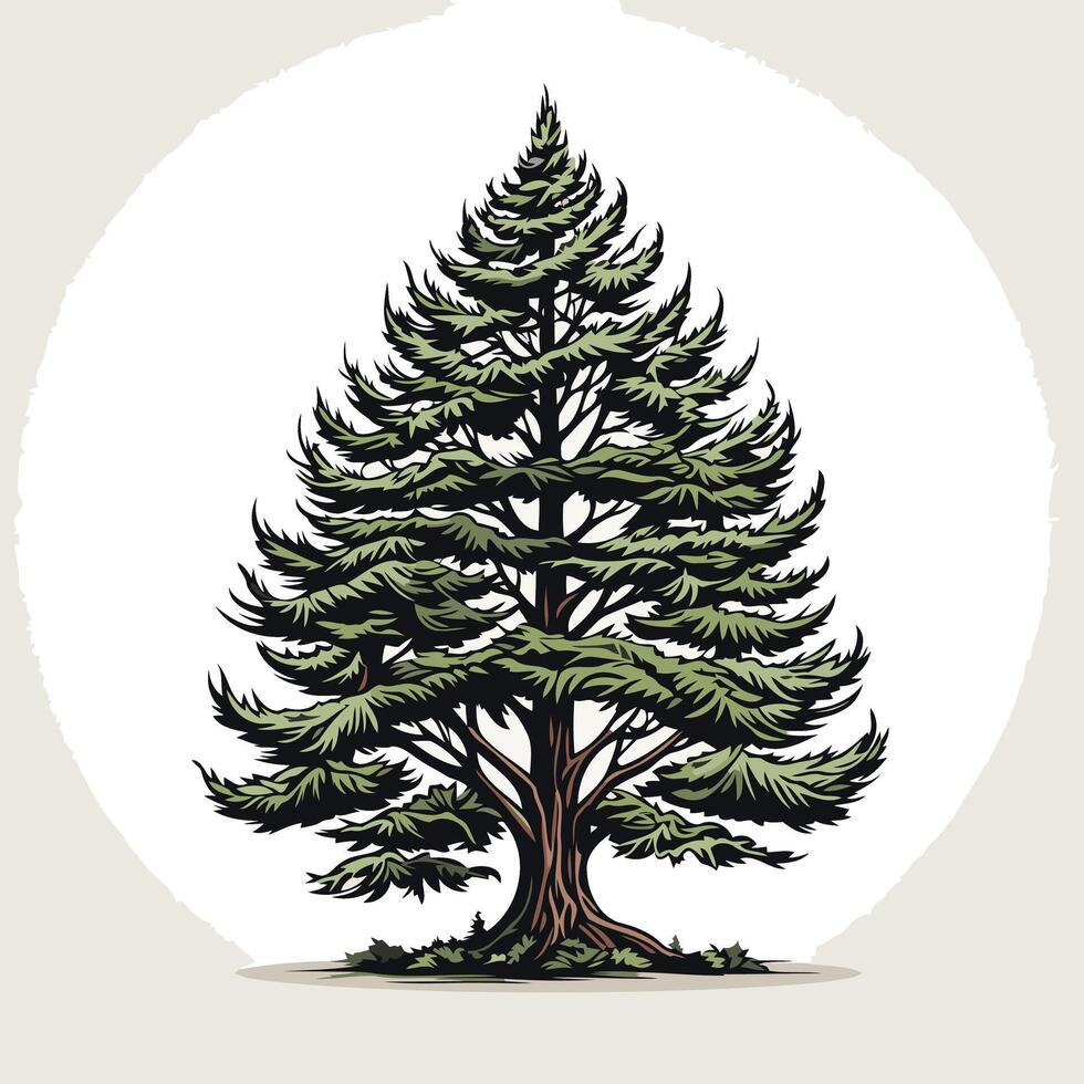 Hand-drawn illustration of a majestic evergreen tree, perfect for nature-inspired designs, branding, and logo concepts vector