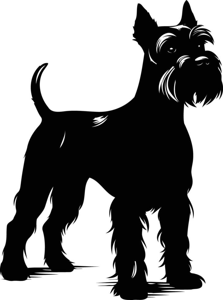A striking silhouette of a miniature schnauzer, perfect for pet-related designs, social media graphics, or logo creation vector