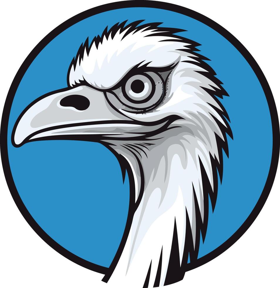 Close-up of a Bird's Head vector