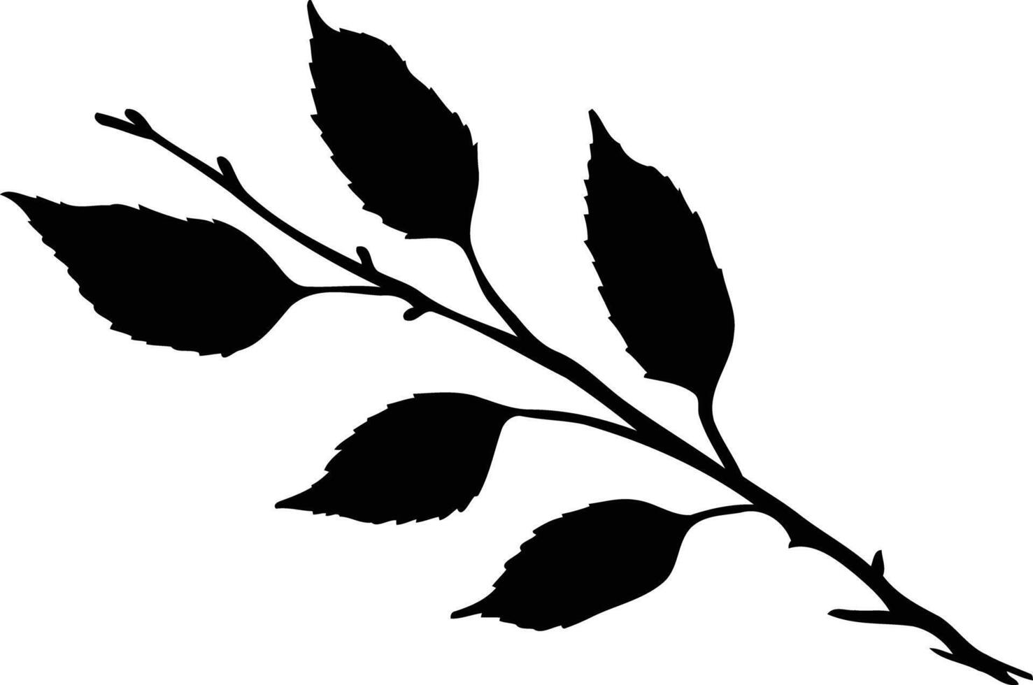 Simple, elegant silhouette of a leaf branch vector