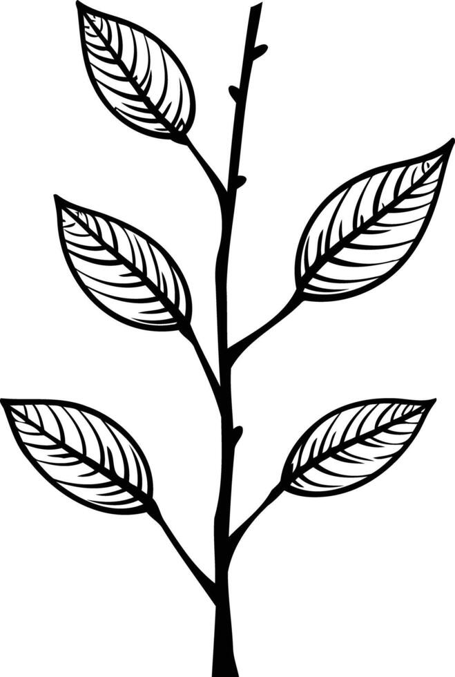 Simple black and white illustration of a small branch with leaves, perfect for minimalist design projects or nature-inspired concepts vector