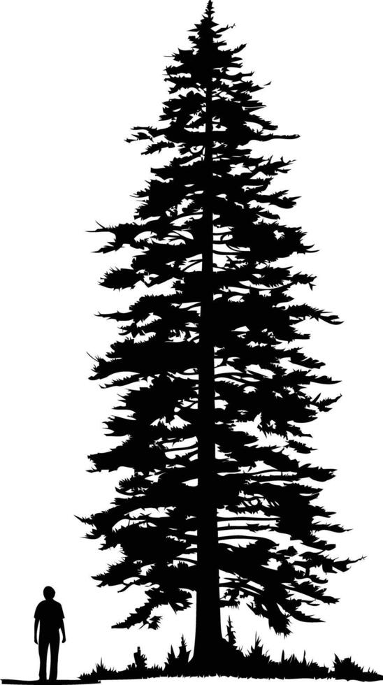 A majestic silhouette of a towering pine tree, emphasizing its height and grandeur vector