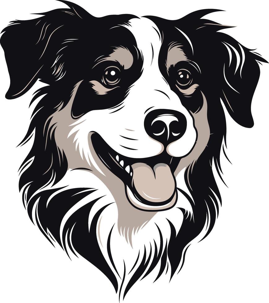 Portrait of a Happy Border Collie vector