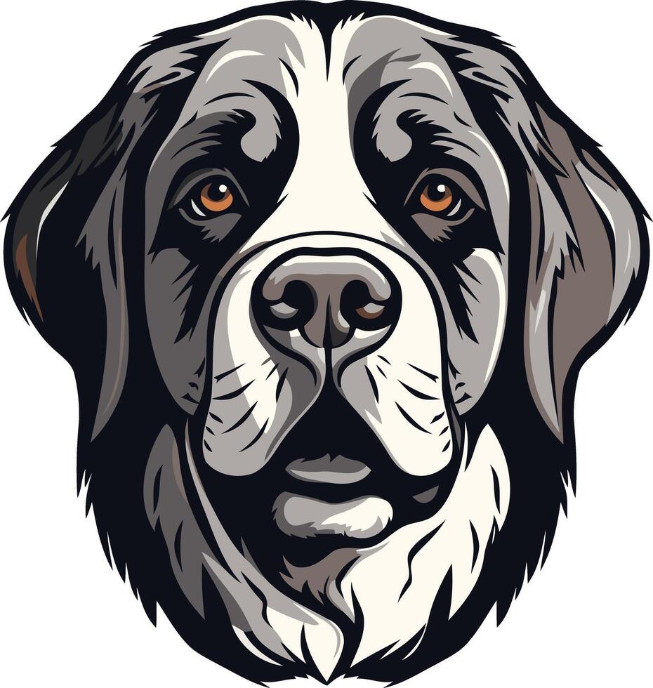 Portrait of a Saint Bernard vector