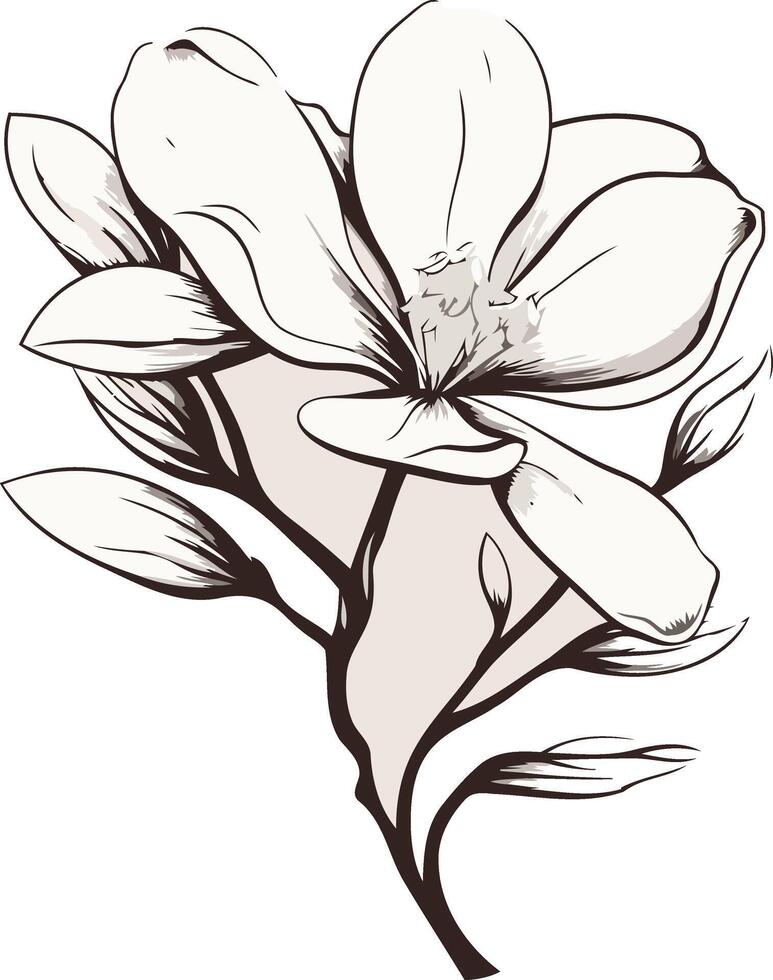 Delicate Sketch of a Magnolia Flower vector