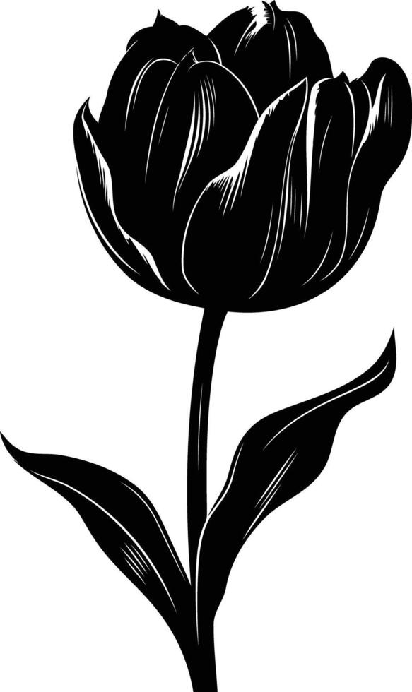 Elegant black and white silhouette of a single tulip vector