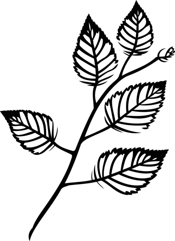Simple black and white illustration of a branch with four leaves vector