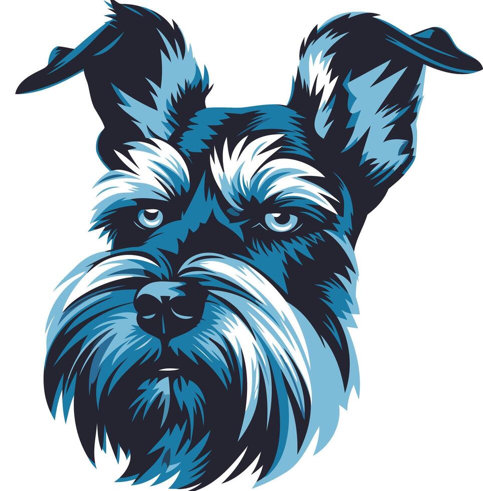 Blue Toned Portrait of a Miniature Schnauzer vector