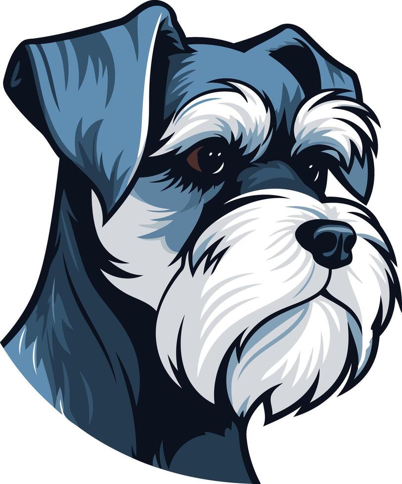 Close up Portrait of a Miniature Schnauzer vector