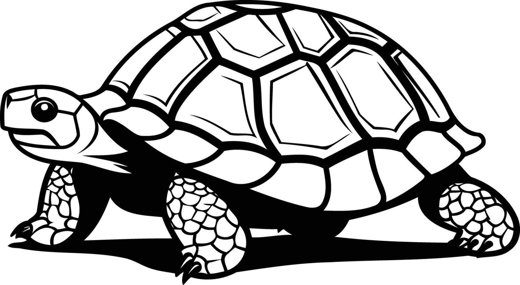 Black and white line art illustration of a turtle walking vector