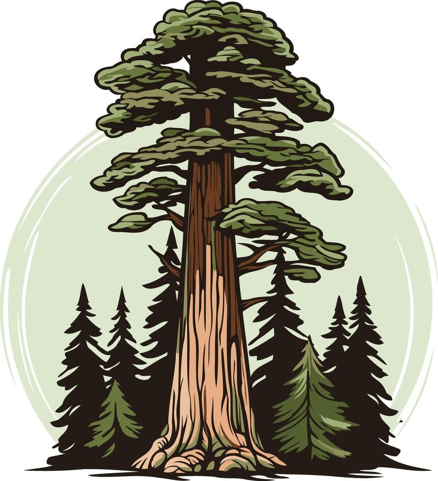 Majestic Redwood Tree in a Forest Setting vector