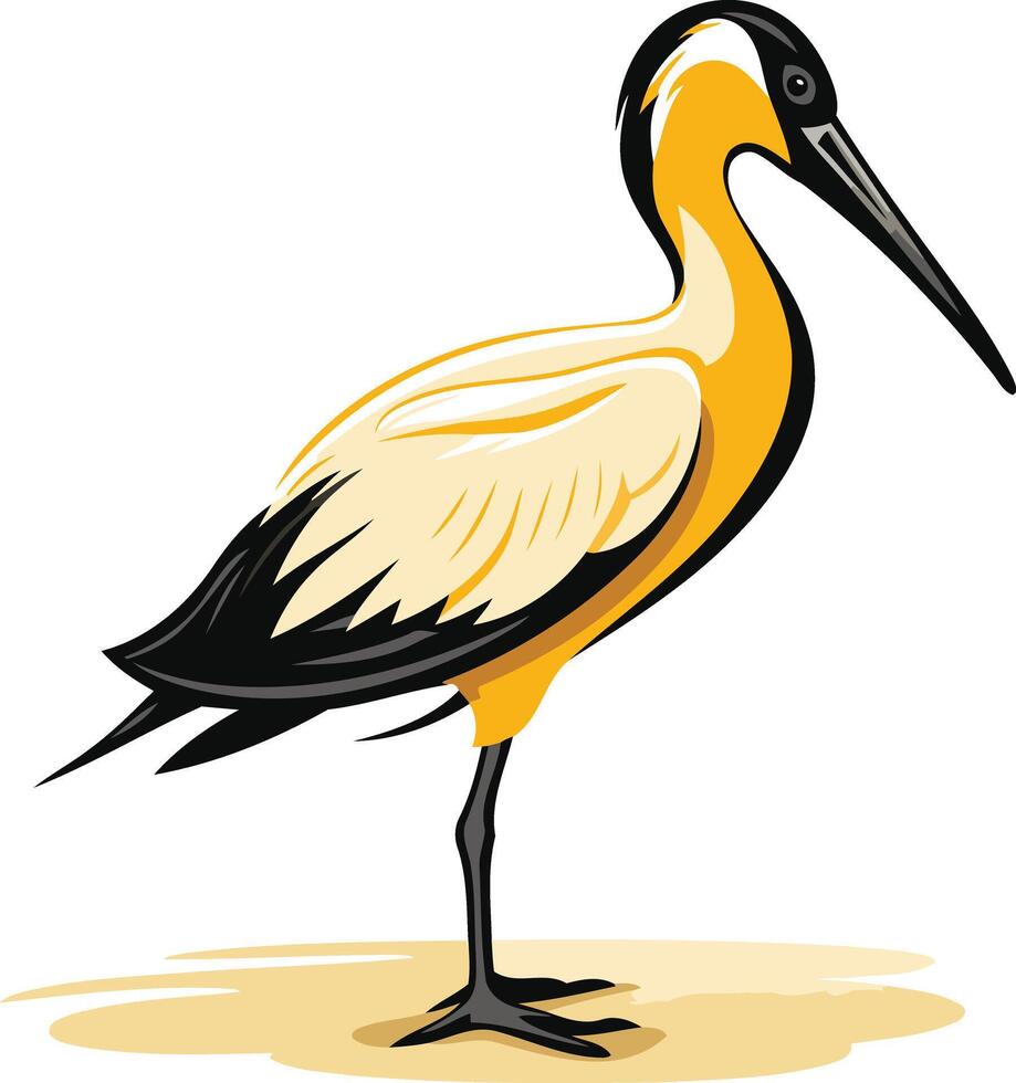 Yellow billed Ibis Standing on One Leg vector