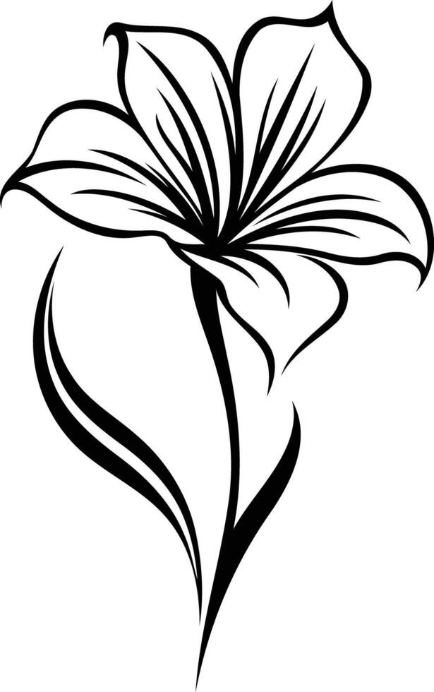 Elegant black and white illustration of a stylized lily flower vector