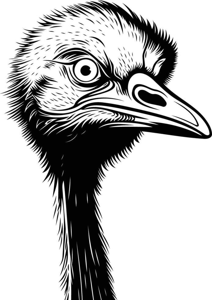 Black and white illustration of an ostrich head, a classic animal design for tattoos, logos, and branding vector