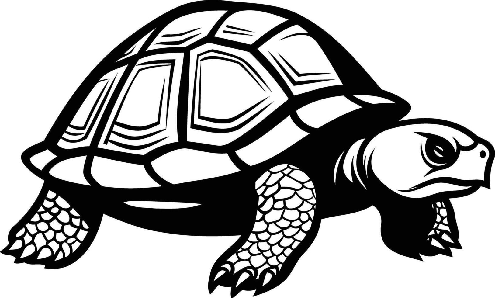 A detailed black and white illustration of a turtle, perfect for designs focused on nature, wildlife, and animal themes vector