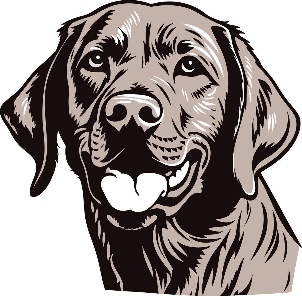 Close-Up Portrait of a Smiling Labrador Retriever vector