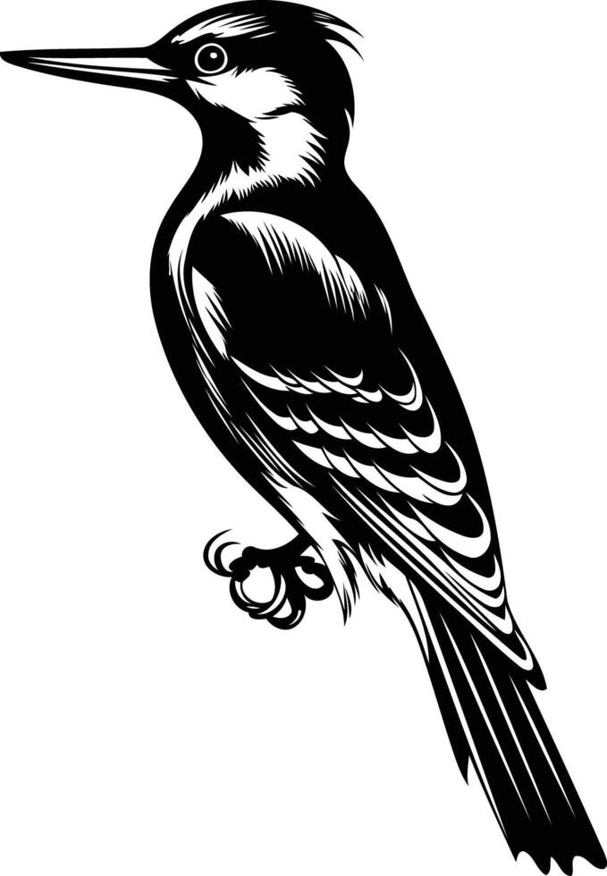 A striking black and white silhouette of a bird, perfect for nature-themed designs, logos, and illustrations vector
