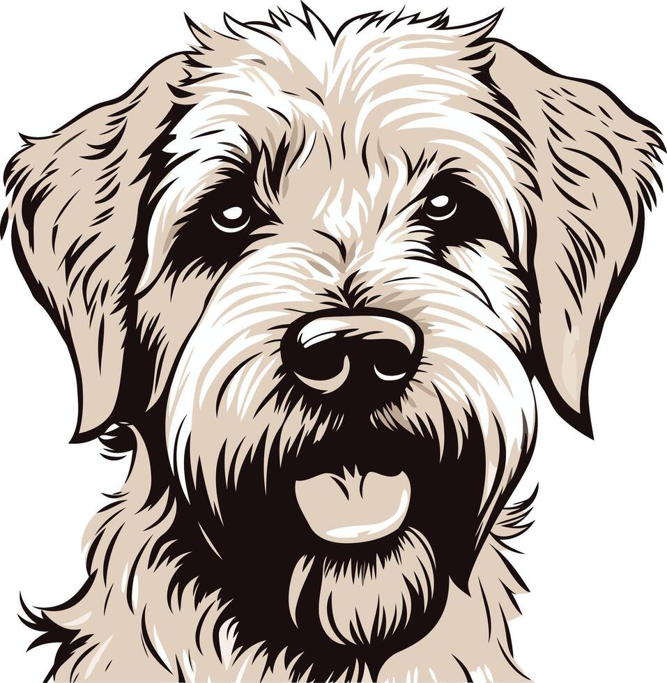 Close-Up Portrait of a Fluffy Dog vector