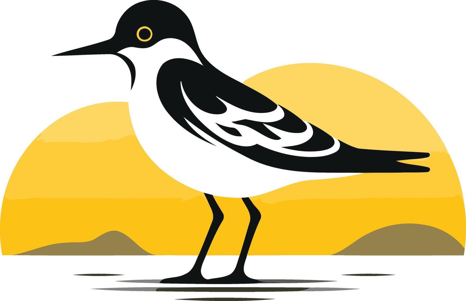 Black headed Gull at Sunset vector