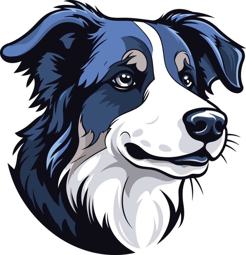 Portrait of a Border Collie vector