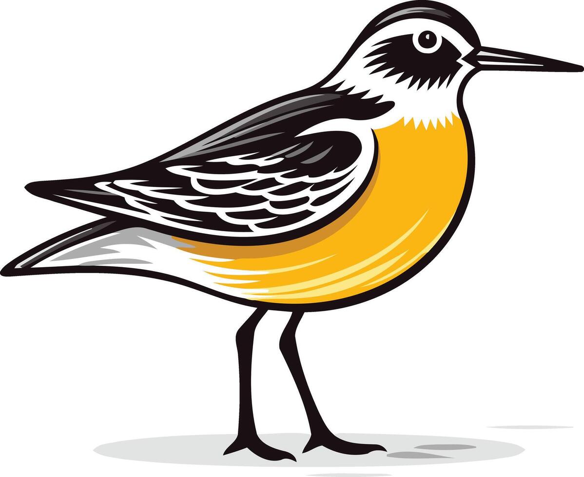 Yellow breasted Bird Illustration vector