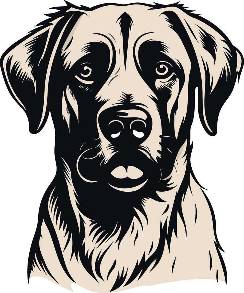 Portrait of a Dog with a Serious Expression vector