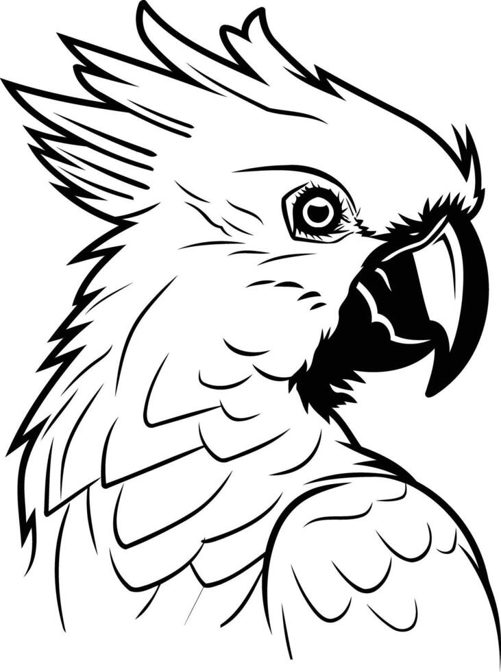Black and White Illustration of a Cockatoo vector