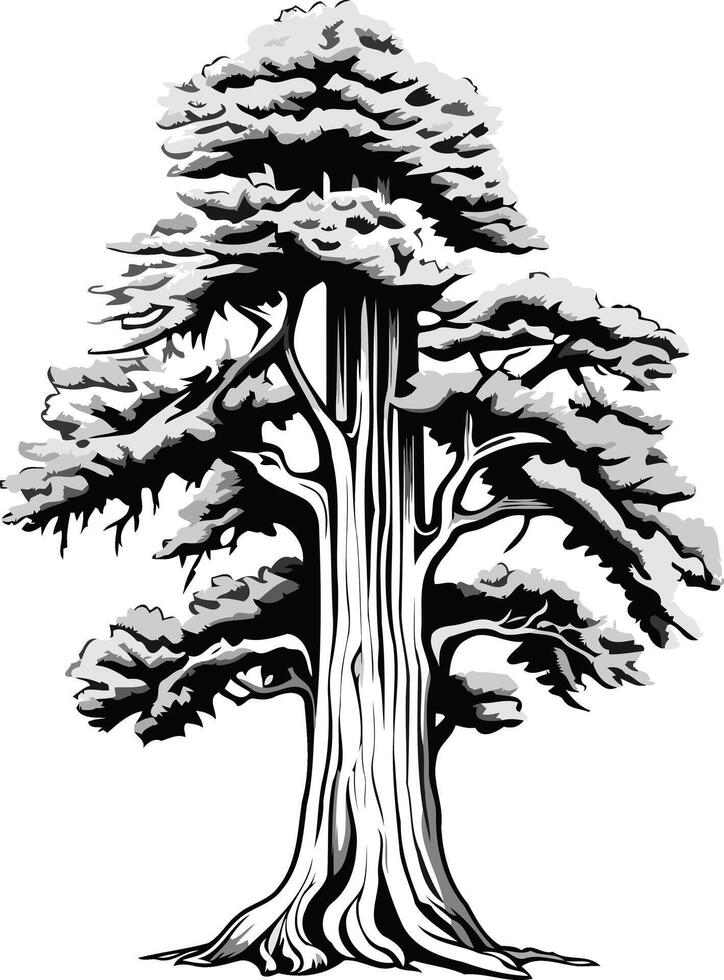Black and White Illustration of a Tall Tree vector