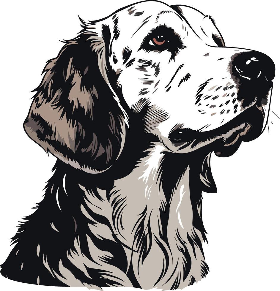 Elegant Portrait of a Dalmatian Dog vector