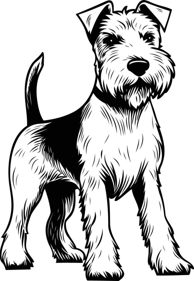 A detailed black and white illustration of a wirehaired terrier, perfect for dog themed designs, branding, or decorative elements vector