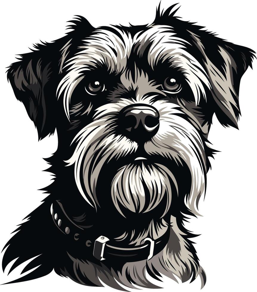 Portrait of a Black and White Dog vector