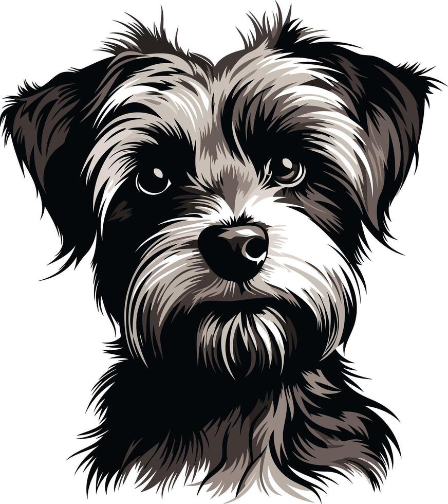 Portrait of a Small Black and White Dog vector