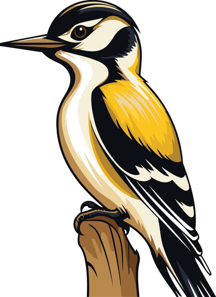 Yellow bellied Woodpecker Perched on a Branch vector