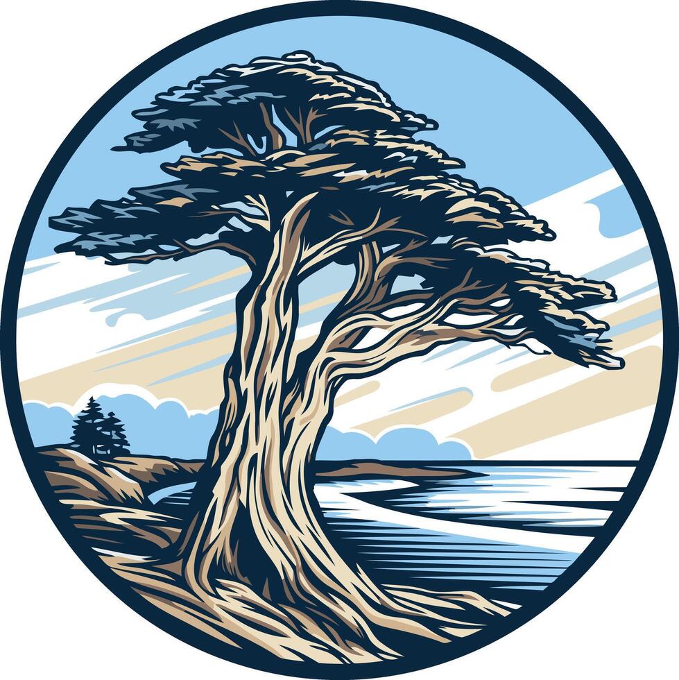 Lone Cypress Tree on the Coast vector