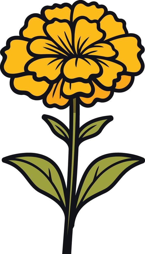 Illustrated Marigold Flower vector