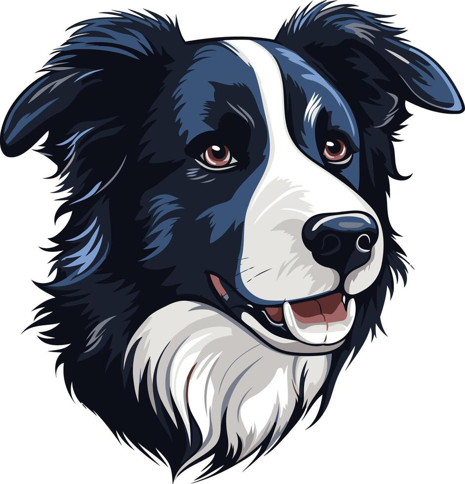Border Collie Portrait with a Cheerful Expression vector