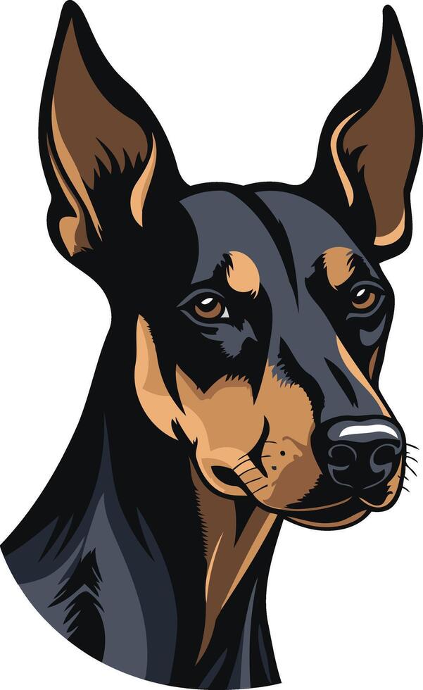Doberman Pinscher Portrait vector