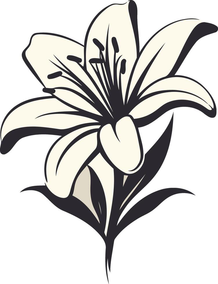 Elegant White Lily Illustration vector