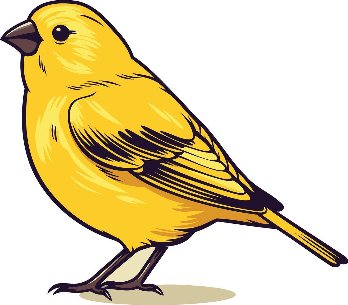 A Yellow Canary Illustration vector