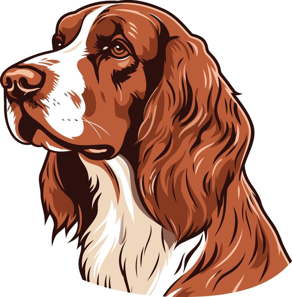 Portrait of a Red and White Springer Spaniel vector