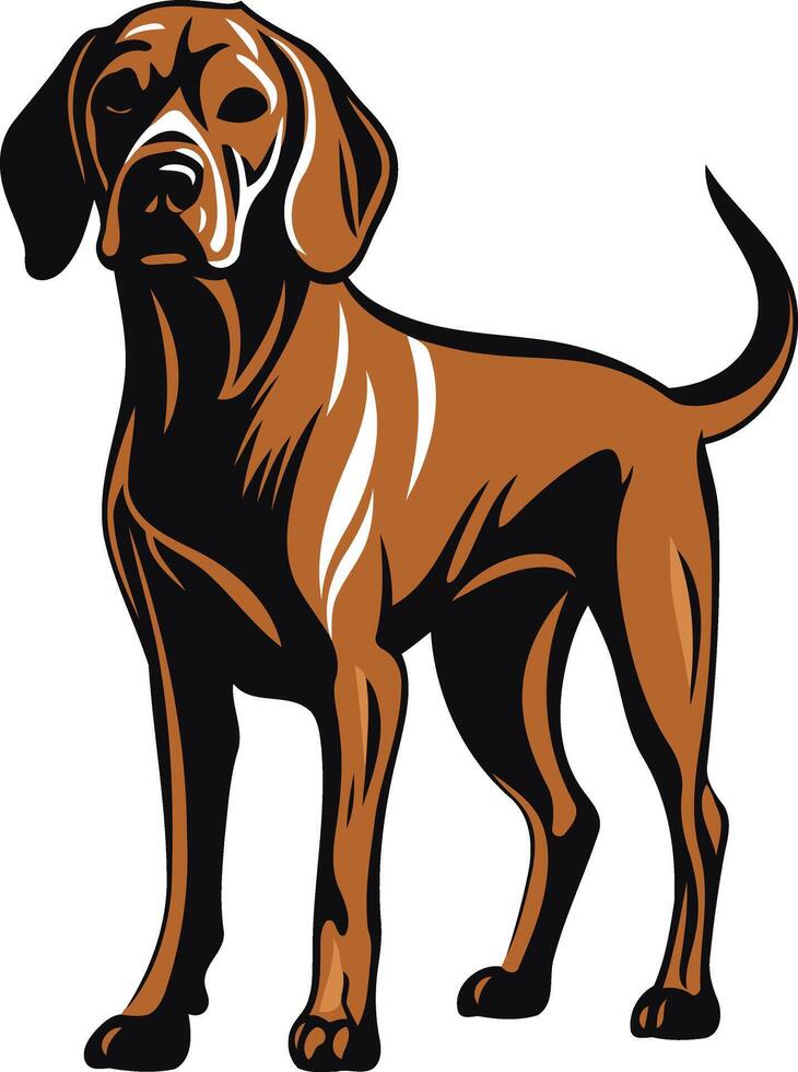 Standing Hunting Dog Illustration vector