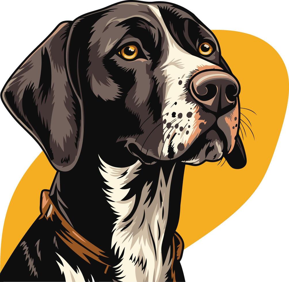 Portrait of a German Shorthaired Pointer vector