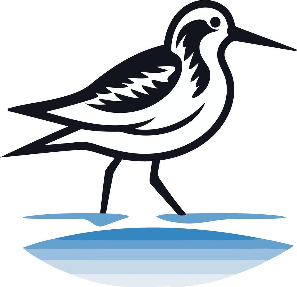 Illustration of a Shorebird Standing in Water vector