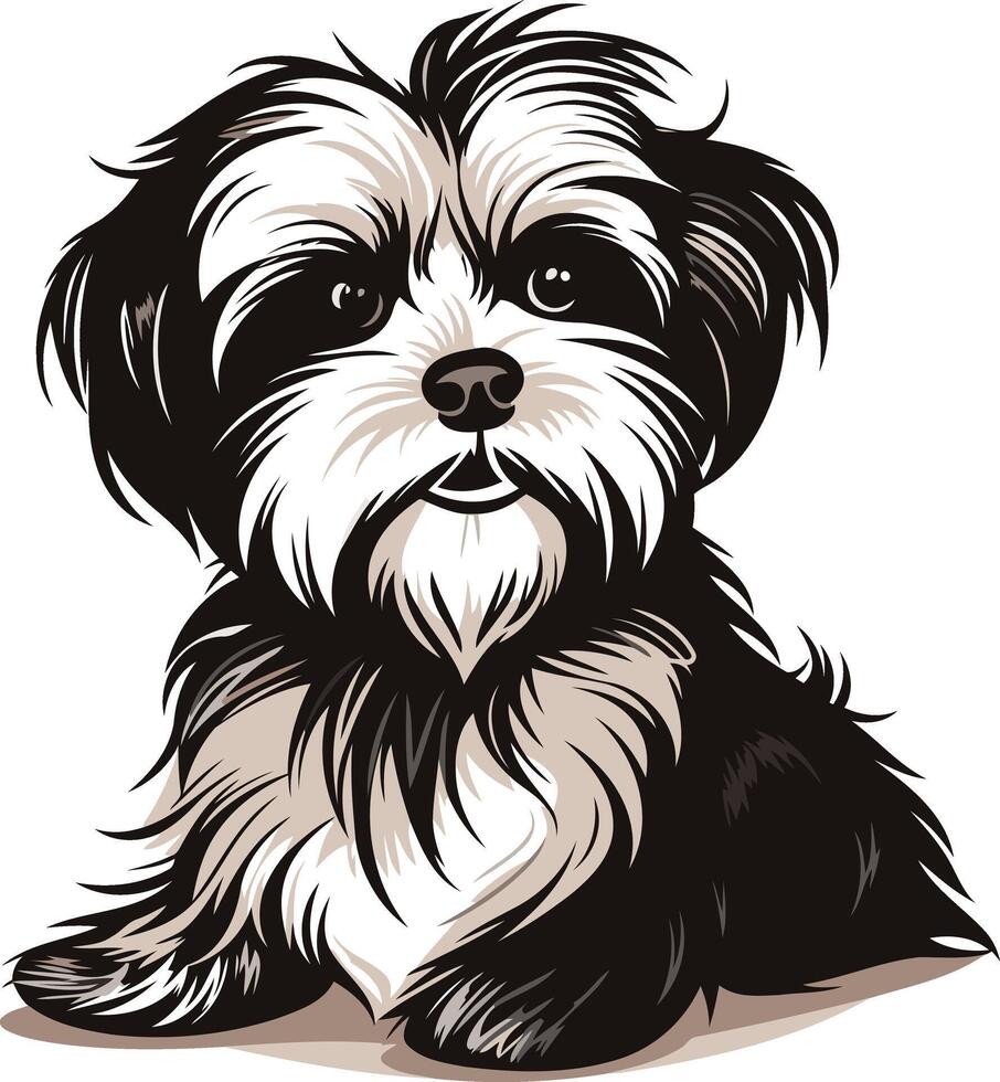 Adorable Black and White Shih Tzu Puppy vector